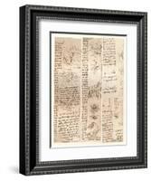 Three drawings, c1472-c1519 (1883)-Leonardo Da Vinci-Framed Giclee Print