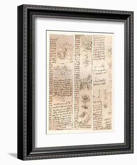 Three drawings, c1472-c1519 (1883)-Leonardo Da Vinci-Framed Giclee Print