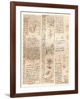 Three drawings, c1472-c1519 (1883)-Leonardo Da Vinci-Framed Giclee Print