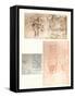 Three drawings, c1472-c1519 (1883)-Leonardo Da Vinci-Framed Stretched Canvas