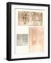 Three drawings, c1472-c1519 (1883)-Leonardo Da Vinci-Framed Giclee Print