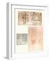 Three drawings, c1472-c1519 (1883)-Leonardo Da Vinci-Framed Giclee Print