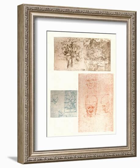 Three drawings, c1472-c1519 (1883)-Leonardo Da Vinci-Framed Giclee Print