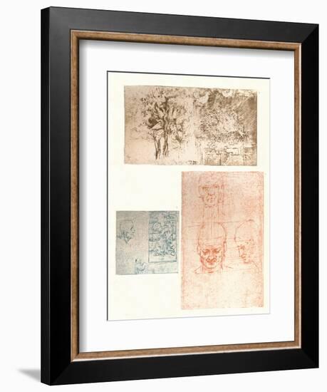 Three drawings, c1472-c1519 (1883)-Leonardo Da Vinci-Framed Giclee Print