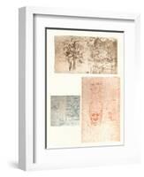 Three drawings, c1472-c1519 (1883)-Leonardo Da Vinci-Framed Giclee Print