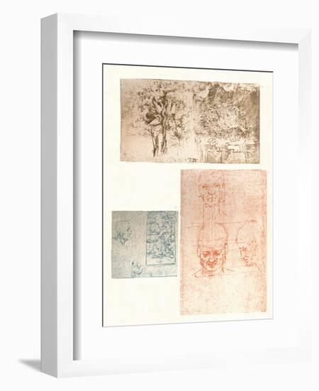 Three drawings, c1472-c1519 (1883)-Leonardo Da Vinci-Framed Giclee Print