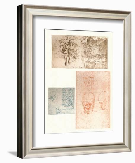 Three drawings, c1472-c1519 (1883)-Leonardo Da Vinci-Framed Giclee Print