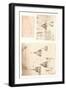 Three drawings of Milan Cathedral, c1472-c1519 (1883)-Leonardo Da Vinci-Framed Giclee Print