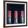 Three Dusty Clarets, 2012-Lincoln Seligman-Framed Giclee Print