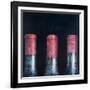 Three Dusty Clarets, 2012-Lincoln Seligman-Framed Giclee Print