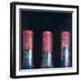 Three Dusty Clarets, 2012-Lincoln Seligman-Framed Giclee Print