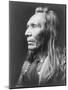 Three Eagles, Nez Perce Indian Curtis Photograph-Lantern Press-Mounted Art Print