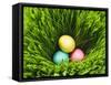 Three Easter Eggs in Grass-null-Framed Stretched Canvas
