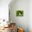 Three Easter Eggs in Grass-null-Stretched Canvas displayed on a wall