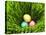 Three Easter Eggs in Grass-null-Stretched Canvas