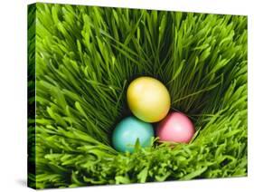 Three Easter Eggs in Grass-null-Stretched Canvas