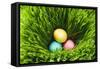 Three Easter Eggs in Grass-null-Framed Stretched Canvas