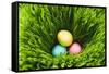 Three Easter Eggs in Grass-null-Framed Stretched Canvas