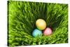 Three Easter Eggs in Grass-null-Stretched Canvas