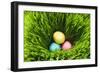 Three Easter Eggs in Grass-null-Framed Photographic Print