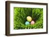 Three Easter Eggs in Grass-null-Framed Photographic Print