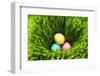 Three Easter Eggs in Grass-null-Framed Photographic Print