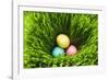 Three Easter Eggs in Grass-null-Framed Photographic Print