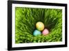 Three Easter Eggs in Grass-null-Framed Photographic Print