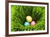 Three Easter Eggs in Grass-null-Framed Photographic Print