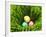 Three Easter Eggs in Grass-null-Framed Photographic Print