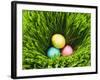 Three Easter Eggs in Grass-null-Framed Photographic Print