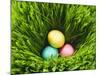 Three Easter Eggs in Grass-null-Mounted Photographic Print