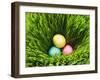 Three Easter Eggs in Grass-null-Framed Photographic Print