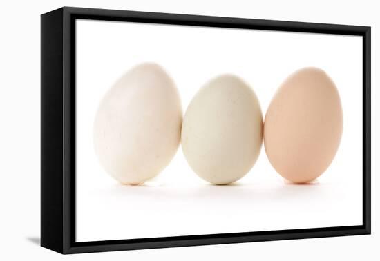 Three Eggs on White Background-Matt Freedman-Framed Stretched Canvas