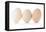 Three Eggs on White Background-Matt Freedman-Framed Stretched Canvas