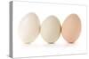 Three Eggs on White Background-Matt Freedman-Stretched Canvas