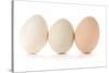 Three Eggs on White Background-Matt Freedman-Stretched Canvas