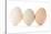 Three Eggs on White Background-Matt Freedman-Stretched Canvas