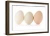 Three Eggs on White Background-Matt Freedman-Framed Photographic Print