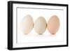 Three Eggs on White Background-Matt Freedman-Framed Photographic Print