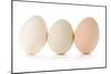Three Eggs on White Background-Matt Freedman-Mounted Photographic Print
