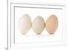 Three Eggs on White Background-Matt Freedman-Framed Photographic Print