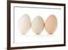 Three Eggs on White Background-Matt Freedman-Framed Photographic Print