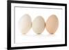 Three Eggs on White Background-Matt Freedman-Framed Photographic Print