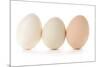 Three Eggs on White Background-Matt Freedman-Mounted Photographic Print