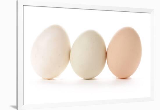 Three Eggs on White Background-Matt Freedman-Framed Photographic Print