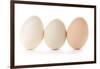 Three Eggs on White Background-Matt Freedman-Framed Photographic Print