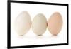 Three Eggs on White Background-Matt Freedman-Framed Photographic Print