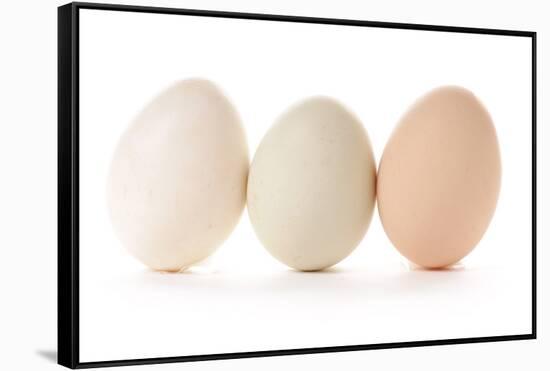 Three Eggs on White Background-Matt Freedman-Framed Stretched Canvas