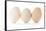 Three Eggs on White Background-Matt Freedman-Framed Stretched Canvas